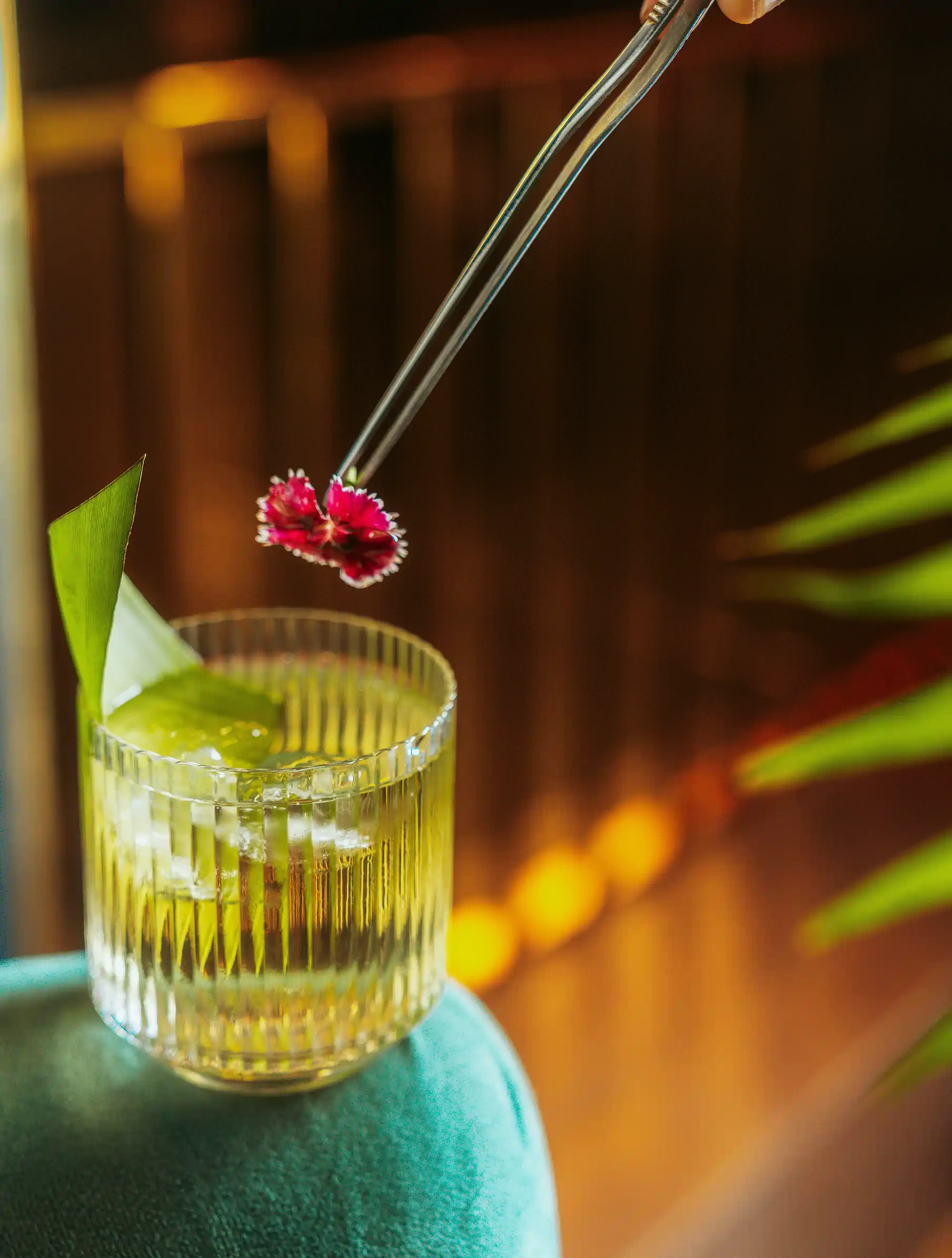 Growth Portfolio Gallery